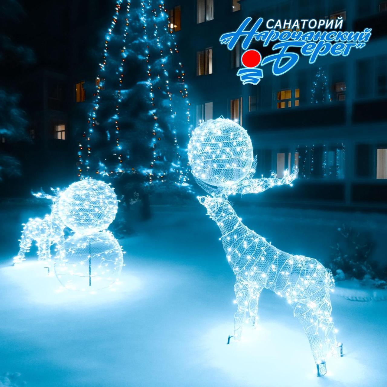 Narochanskiy Bereg Sanatorium Buitenkant foto